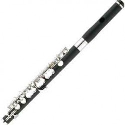 Armstrong-358-Piccolo_m