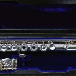 DSC_9080-denoise-denoise  asc (2)